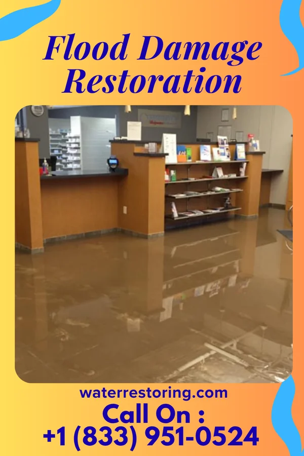 Flood Damage Restoration in Bazine, KS