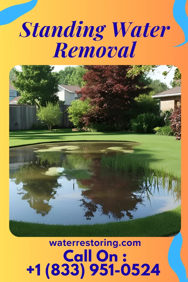 Standing Water Removal in Bazine, KS